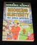 Horrible Science Shocking Electricity