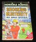 Horrible Science Shocking Electricity
