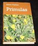 Primulas