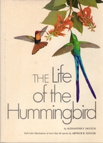 The Life of the Hummingbird