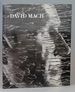David Mach: Likeness Guaranteed (Art & Design Monographs)