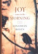 Joy Comes in the Morning a Novel