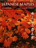 Japanese Maples