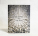 Jay Defeo and the Rose