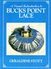 A Visual Introduction to Bucks Point Lace