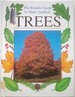 Trees (the Rourke Guide to State Symbols)