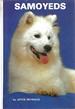 Samoyeds