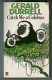 Catch Me a Colobus