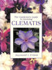 The Gardener's Guide to Growing Clematis