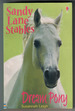 Dream Pony