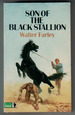 Son of the Black Stallion