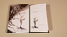 Comes a Pale Rider: Signed Limited