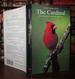 The Cardinal