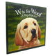 W is for Woof a Dog Alphabet