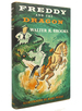 Freddy and the Dragon