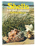 Shells and Shell Collecting