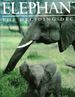 Elephants: the Deciding Factor