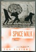 Space Walk