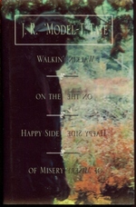Walkin' on the Happy Side of Misery: a Slice of Life on the Appalachian Trail