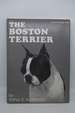 The Boston Terrier