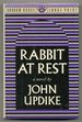 Rabbit at Rest