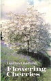 Flowering Cherries