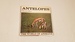 Antelopes