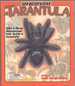 Uncover a Tarantula Take a Three-Dimensional Look Inside a Tarantula! (Uncover Books)