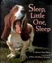 Sleep, Little One, Sleep