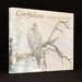 Gyrfalcon