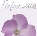 Perfect Spring Wedding
