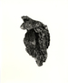 Roni Horn: Lava, Special Limited Edition (With Gelatin Silver Print) (�sland (Iceland): to Place 3) [Signed]