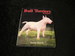 Bull Terriers Today