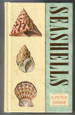 Seashells
