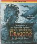 Here, There Be Dragons: the Chronicles of the Imaginarium Geographica, Book One [Unabridged Audiobook]
