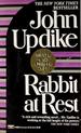 Rabbit at Rest