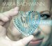 Glass Heart
