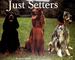 Just Setters