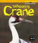 Animals in Danger: Whooping Crane Paperback