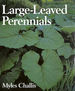 Large-Leaved Perennials (Foliage Plants in Garden Design S. )