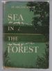 Sea in the Forest