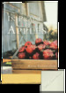 In Praise of Apples: a Harvest of History, Horticulture & Recipes (Signed. First Edition. )