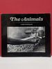 The Animals