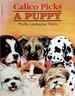 Calico Picks a Puppy