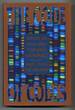 The Code of Codes: Scientific and Social Issues in the Human Genome Project