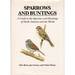 Sparrows and Buntings: a Guide to the Sparrows and Buntings of North America and the World