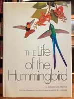 The Life of the Hummingbird