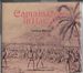 Captain Cook in Hawaii