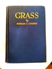 Grass