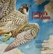 Fidget's Freedom (Practical Handbook)